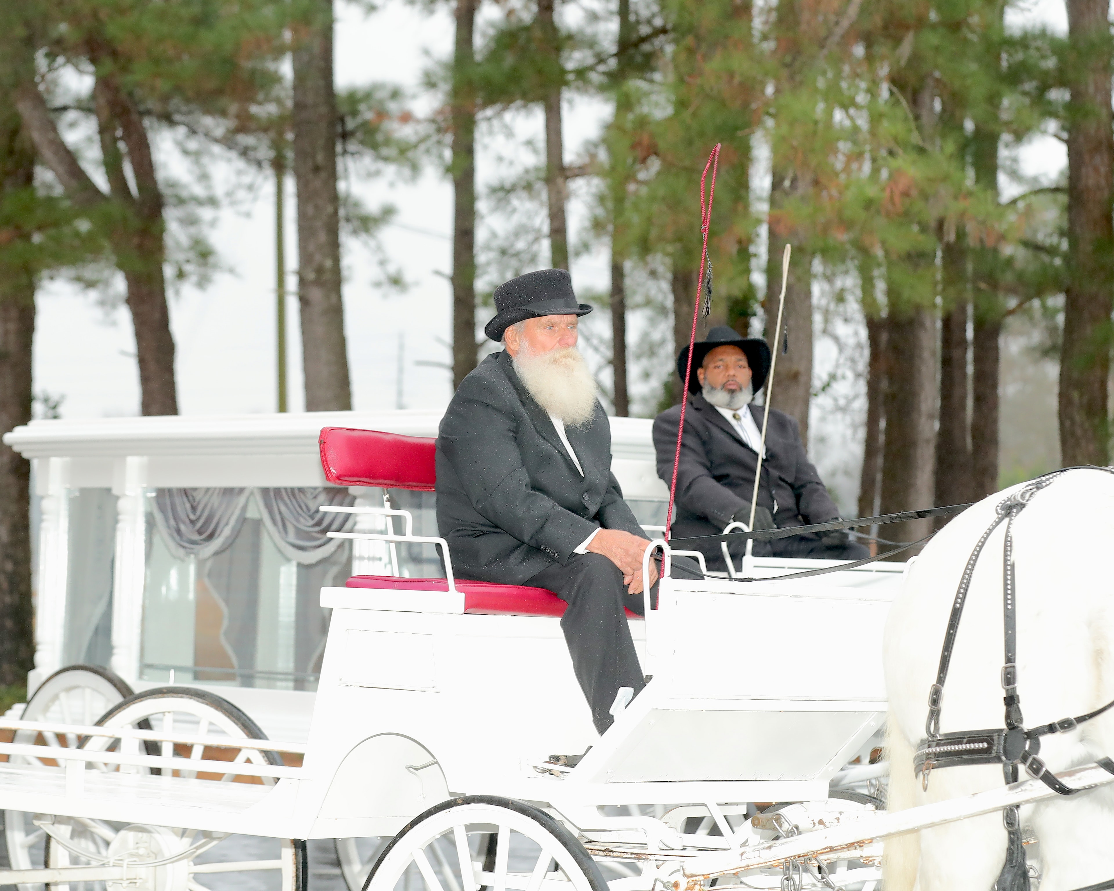 Two men in formal attire driving a white horse-drawn carriage