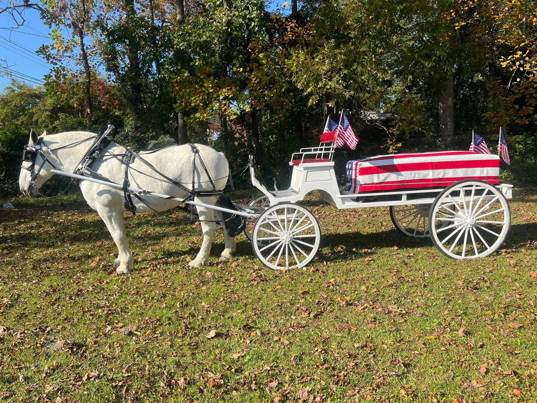 White carriage draped with American flags for a patriotic tribute