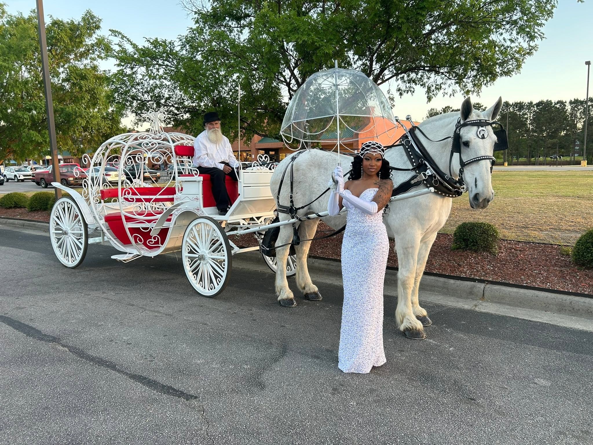 Young woman in a white gown standing with the white horse and Cinderella carriage
